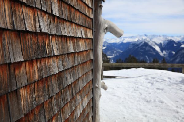Cedar Siding Repair in Bainbridge Island