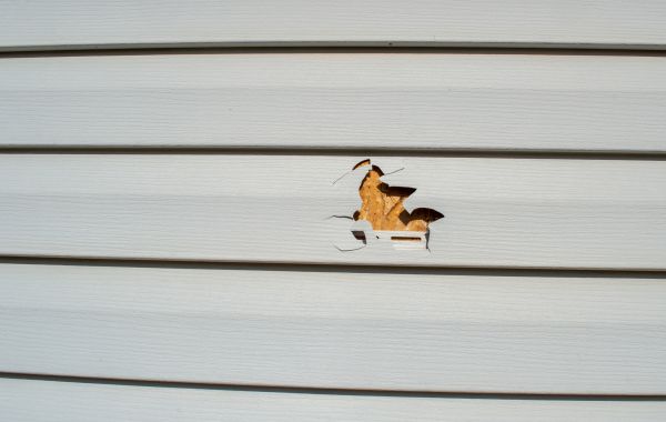 Siding Hole Repair in Bainbridge Island